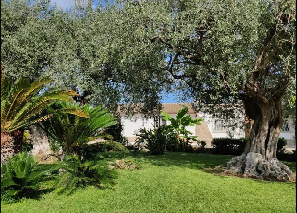 Antonella Holiday home